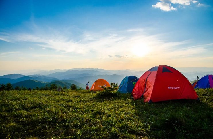 Tents lined up on a grass field.